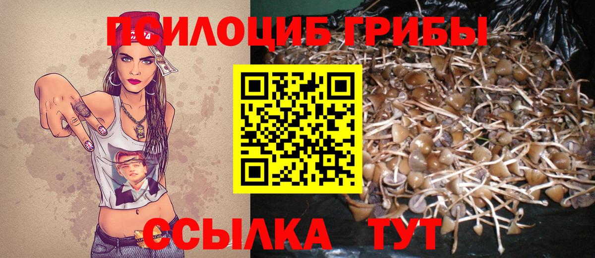 Псилоцибиновые грибы Magic Shrooms  Галлюциногенные грибы GOLDEN TEACHER  Вход с VPN  Отрадный 